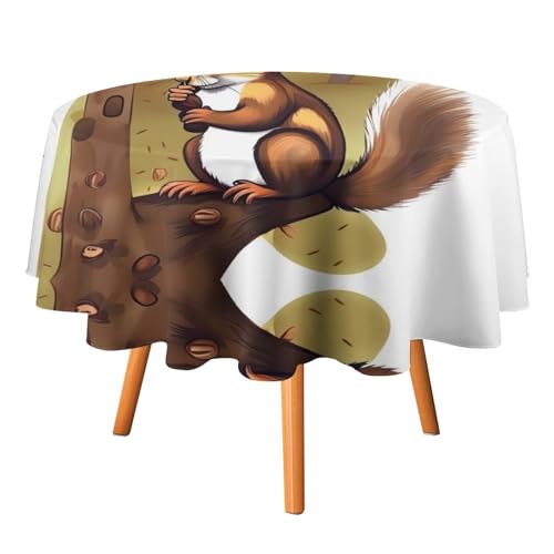 OURTEV Runde Tischdecke mit Eichhörnchen-Motiv, waschbar, für drinnen und draußen, Picknick, Terrasse, Dekoration, Tischdecke für Esstisch, Küche, Esszimmer von OURTEV
