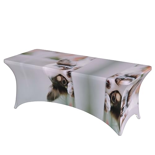 OUSIKA Papillon auf dem Bauch liegend Tischdecke, Stretch-Tischdecke, rechteckig, waschbar, Tischschutz, für Party, Hochzeit, Cocktail, Bankett, Festival, 1,8 m von OUSIKA