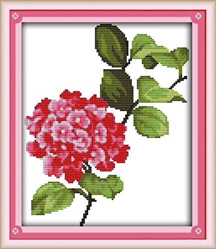 OWN4B Kreuzstich-Set, geprägt, kleine rote Blumen, gedrucktes Muster, 11 Karat, 33 x 37 cm, DIY-Stickset (rote Blumen) von OWN4B