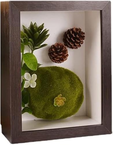 OYUCDAGQ Fotorahmen Holz-Fotorahmen, Vitrine mit Massivholzrahmen und Fenster-Erinnerungsbox, für Erinnerungsstücke, Fotos, Auszeichnungen, Medaillen-Walnut||10 inch von OYUCDAGQ