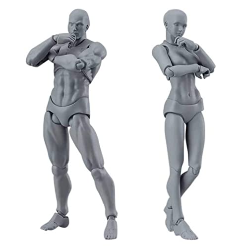 Obelunrp Mannequin -Körper, 2pcs 5,9inch PVC Actionfigur Zeichnungsmodell, Fähigkeitsbild -Figuren Körper Mannequin, Körpermalermodell für Künstler (weiblich+männlich) von Obelunrp