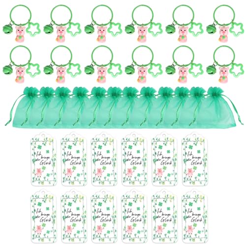 Obotsnoi Schlüsselanhänger für Partygäste, Motiv: irisches Festival, Feier, Glück, Schweinchen, Schlüsselanhänger, Zubehör, stilvolle Party-Souvenirs, 12 Stück von Obotsnoi