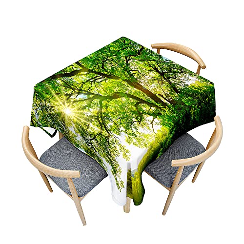 Odot Tischdecke Quadratisch Wasserdicht Polyester, Pflegeleicht Fleckschutz Abwaschbar 3D Grüner Walddruck Rechteckig Tischdecke für Home Küche Dekoration (140x140cm,grüner Baum) von Odot