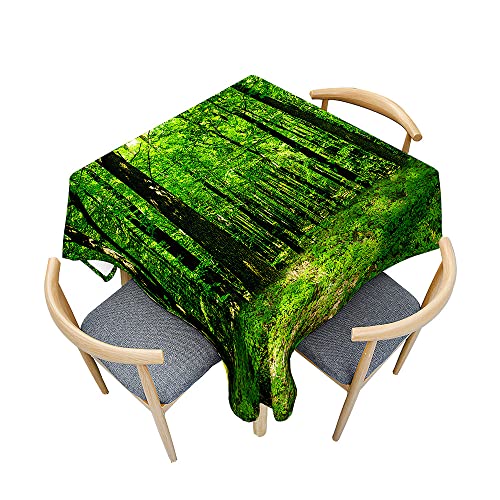 Odot Tischdecke Quadratisch Wasserdicht Polyester, Pflegeleicht Fleckschutz Abwaschbar 3D Grüner Walddruck Rechteckig Tischdecke für Home Küche Dekoration (90x90cm,Regenwald) von Odot