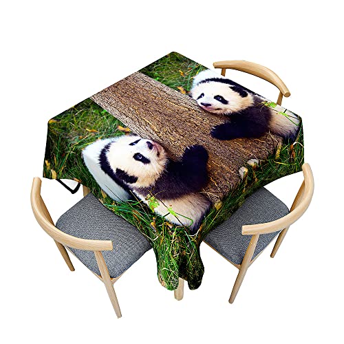 Odot Tischdecke Quadratisch Wasserdicht Polyester, Pflegeleicht Fleckschutz Abwaschbar 3D-Panda-Druck Rechteckig Tischdecke für Home Küche Dekoration (90x90cm,Baby) von Odot