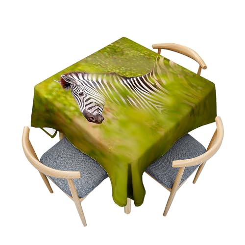 Odot Tischdecke Quadratisch Wasserdicht Polyester, Pflegeleicht Fleckschutz Abwaschbar 3D-Zebra-Tierdruck Rechteckig Tischdecke für Home Küche Couchtisch Dekoration (90x90cm,114) von Odot