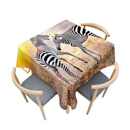 Odot Tischdecke Quadratisch Wasserdicht Polyester, Pflegeleicht Fleckschutz Abwaschbar 3D-Zebra-Tierdruck Rechteckig Tischdecke für Home Küche Couchtisch Dekoration (90x90cm,116) von Odot