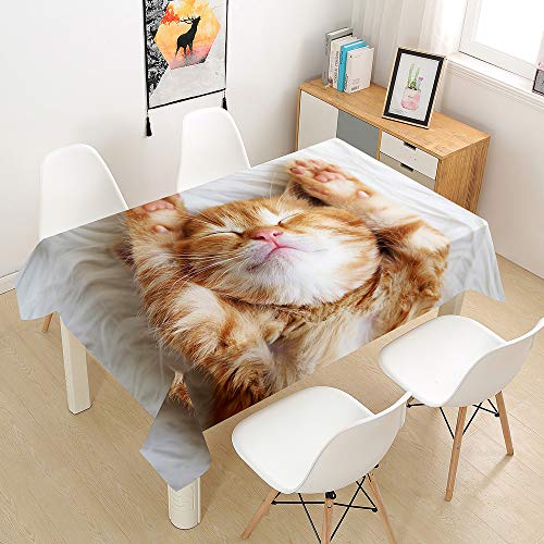 Oduo Tischdecke Wasserdicht Polyester Rechteckig, 3D-Katze Bedruckte Tischdecke Pflegeleicht Fleckschutz Ölfest Abwaschbar Outdoor Garten Deko Farbe & Größe Wählbar (Orangene Katze,140x140cm) von Oduo