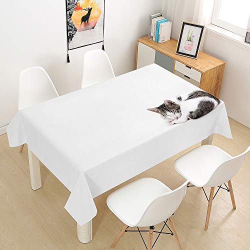 Oduo Tischdecke Wasserdicht Polyester Rechteckig, 3D-Katze Bedruckte Tischdecke Pflegeleicht Fleckschutz Ölfest Abwaschbar Outdoor Garten Deko Farbe & Größe Wählbar (Weiß,140x160cm) von Oduo