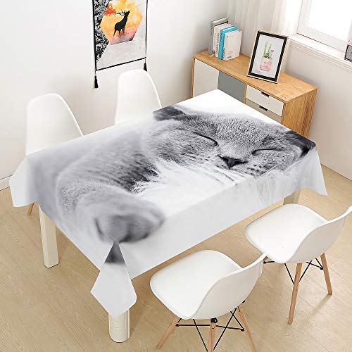 Oduo Tischdecke Wasserdicht Polyester Rechteckig, 3D-Katze Bedruckte Tischdecke Pflegeleicht Fleckschutz Ölfest Abwaschbar Outdoor Garten Deko Farbe & Größe Wählbar (hellgrau,140x180cm) von Oduo