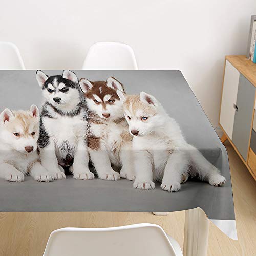 Oduo Tischdecke Wasserdicht Polyester Rechteckig, Tischdecke mit 3D Hundedruck Pflegeleicht Fleckschutz Ölfest Abwaschbar Outdoor Garten Deko (Baby Husky,140x140cm) von Oduo