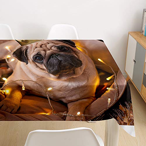 Oduo Tischdecke Wasserdicht Polyester Rechteckig, Tischdecke mit 3D Hundedruck Pflegeleicht Fleckschutz Ölfest Abwaschbar Outdoor Garten Deko (Lampe und Mops,60x60cm) von Oduo