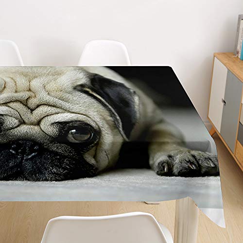 Oduo Tischdecke Wasserdicht Polyester Rechteckig, Tischdecke mit 3D Hundedruck Pflegeleicht Fleckschutz Ölfest Abwaschbar Outdoor Garten Deko (Mops,140x240cm) von Oduo