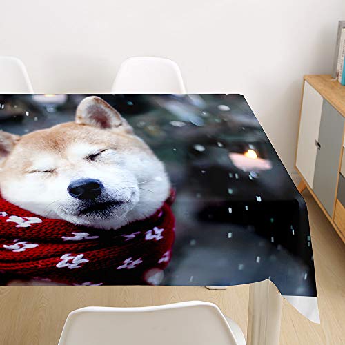 Oduo Tischdecke Wasserdicht Polyester Rechteckig, Tischdecke mit 3D Hundedruck Pflegeleicht Fleckschutz Ölfest Abwaschbar Outdoor Garten Deko (Shiba Inu,90x90cm) von Oduo