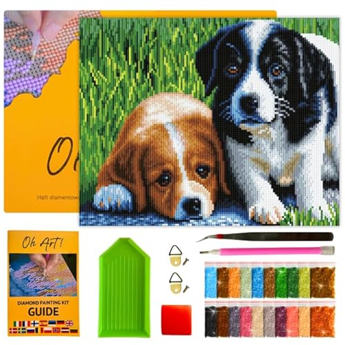 Oh Art! Diamond Painting Set 5D mit Rahmen DIY Stickerei nach Zahlen für Erwachsene Leinwand Gespannt Auf Holzrahmen für Zuhause Dekor 30 x 40 cm Two hounds von Oh Art!