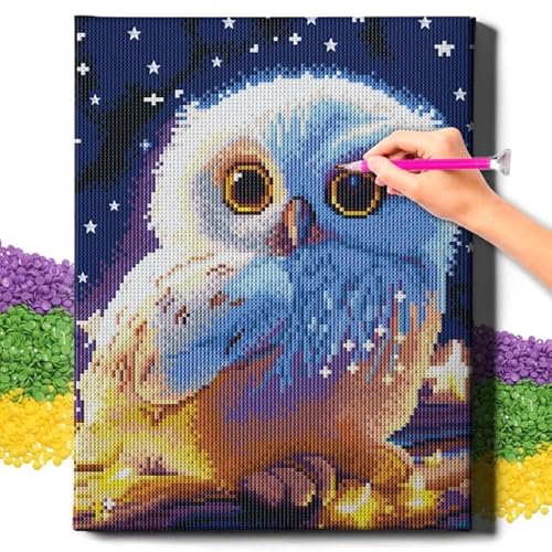 Oh Art! Diamond Painting für Erwachsene Set 5D DIY Diamantmosaik Bilder mit Leinwand Gespannt Auf Holzrahmen 30 x 40 cm Diamant Malerei für Haus Dekoration Little Owl von Oh Art!