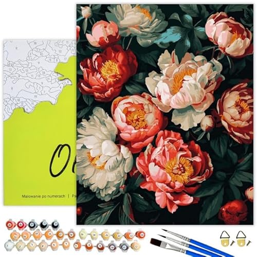 Oh Art! Malen Nach Zahlen Erwachsene DIY Bastelset 40 x 50 cm Mit Rahmen Set Mit 3 Pinseln Acrylfarben Und Leinwand Gespannt Auf Holzrahmen Kreativ Set Paint By Numbers Flowering peonies von Oh Art!