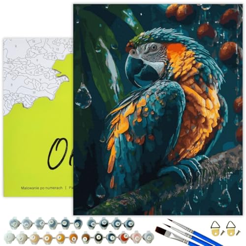 Oh Art! Malen Nach Zahlen Erwachsene Set Mit 3 Pinseln Und Acrylfarben Gemälde Acrylic Malerei DIY Leinwand 40 x 50 cm Schöner Papagei von Oh Art!