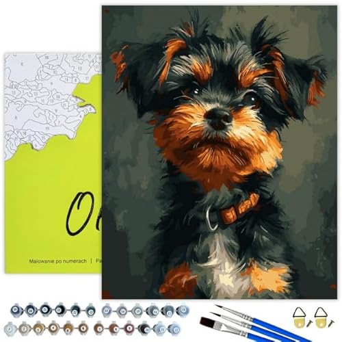 Oh Art! Malen Nach Zahlen für Kinder Anfänger Set Mit 3 Pinseln Acrylfarben Und Leinwand Gespannt Auf Holzrahmen Paint By Numbers DIY Bastelset 40 x 50 cm Mit Rahmen Yorkshire Terrier von Oh Art!