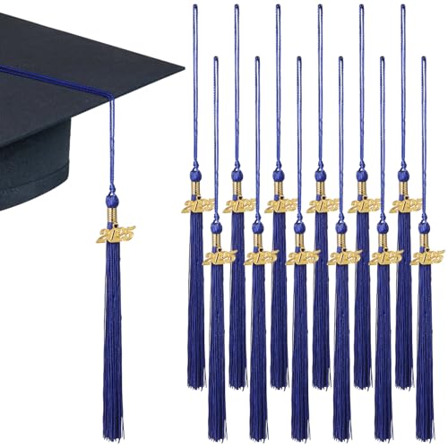 Operitacx 12Pcs Abschlussquitels Large Decorative Tassels School Abschlusskappe Dekorationen Zeremonie Dekore Für Die Klasse Von 2025 Absolventen von Operitacx