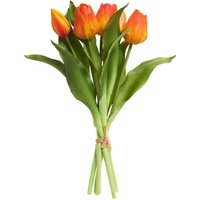 Tulpen Bund mit 3 Blüten und 2 Knospen - Orange von Orange