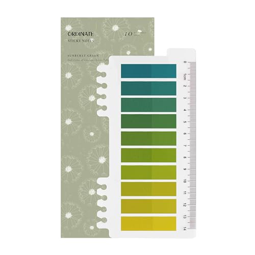 Ordinate 200 Stück Sticky Notes, Transparent Haftnotizen zum Markieren, Haftstreifen, Seitenmarkieren, Ästhetischer Haftnotizzettel, Full Color of Gradient (A-200 Stück Sunburst Green) von Ordinate