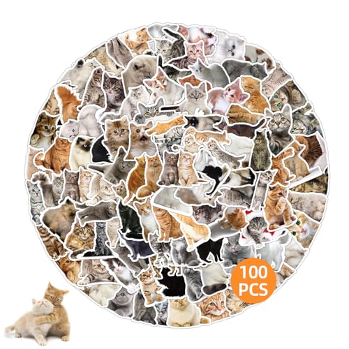 100 Stück Katzen Sticker, Cartoon Katzen Aufkleber Set, Lustiges süße Meme Cat Sticker Set, Wasserfeste Vinyl Tiere Aufkleber Deko für Skateboard Laptop Motorrad Telefon Wasserflaschen Gepäck von Ormromra