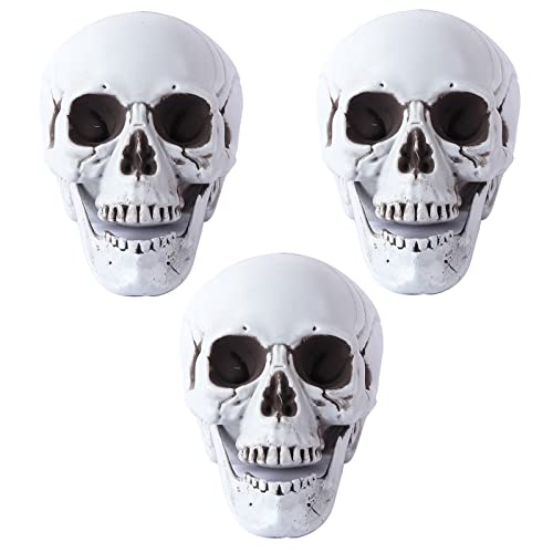 Osuter Schädel Halloween, 3 Stück Totenkopf Set Horror Realistisch Knochen Halloween Skelett Requisiten Gefälscht Totenschädel für Spukhaus Outdoor Party Dekorationen von Osuter