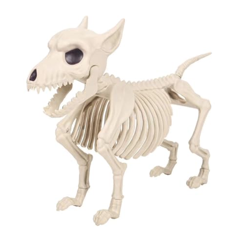 PACHHK Skelett Hund Halloween Dekorationen - Bewegliche Skelett Tiere Skelette mit beweglichen Gelenken Halloween Dekor von PACHHK