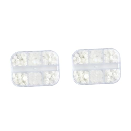 PACKOVE 2 Sätze Blumen Nagel Charms Set Mit Fächern Für Kreative Maniküren Für Diy Nagelkunst Und Dekorationen Für Und Mädchen 2boxen*2 PACKOVE 2 Sätze Blumen Nagel Charms Set Mit Fächern Für Kreative Maniküren Für Diy Nagelkunst Und Dekorationen Für Und Mädchen 2boxen*2 von PACKOVE