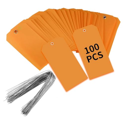 PAMENET 100 Stück Versandetiketten aus Kunststoff, 100 Stück, 100 Stück x 2 3/8 mit Kabel, Etikettierungsetiketten auf wasserdichten Hängeetiketten (Orange) von PAMENET