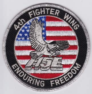 PATCHMANIA USAF Patch Fighter 4 v FW FTR Wing F 15E Strike Eagle OEF 101mm THERMOADHESIVE gestickte Patches Patch von PATCHMANIA