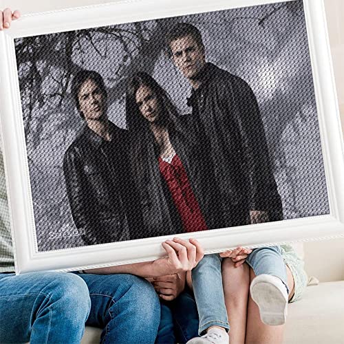 PAWCA 5D Diy Diamond Painting The Vampire Diaries 3D Stickerei Kreuzstich Mosaik Dekoration Kunst（Runder Diamant30x40cm） von PAWCA