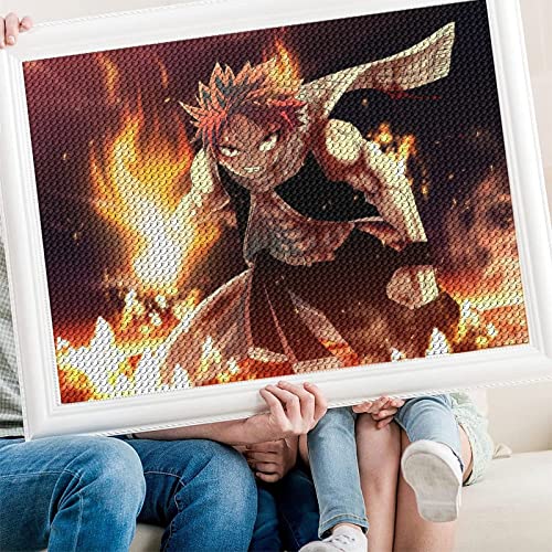 PAWCA 5D Full Diamond Painting Kit,Anime Fairy Tail,DIY Diamond Strass Painting Kits für Erwachsene Stickerei Kunst Home Decor(round drill)-30x40cm von PAWCA