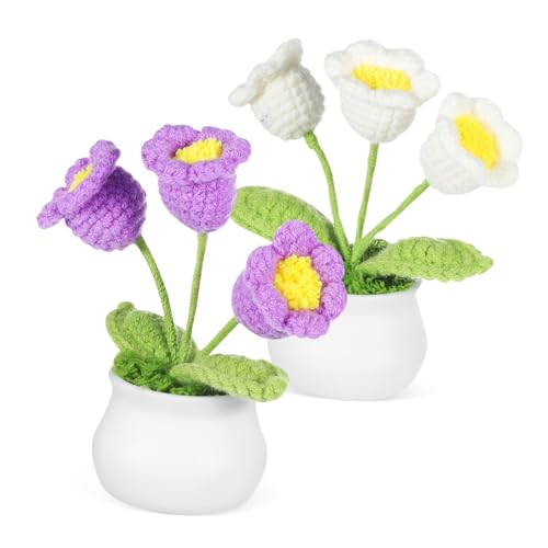 PEPLAYTAL 2 Stück Häkelblumen-ornamente, Handgefertigte Gestrickte Künstliche Blumen, Häkelblumen Für Auto-armaturenbrett, Büro, Zuhause, Schreibtisch-dekoration von PEPLAYTAL