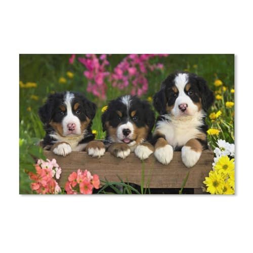 PGCKSK 3 Schweizer Berner Sennenhunde，Diy 5D Diamond Painting By Number Unique Kits Home Wall Decor Crystal Rhinestone Wall Decor Cross Stitch（40x50cm）-C7 von PGCKSK