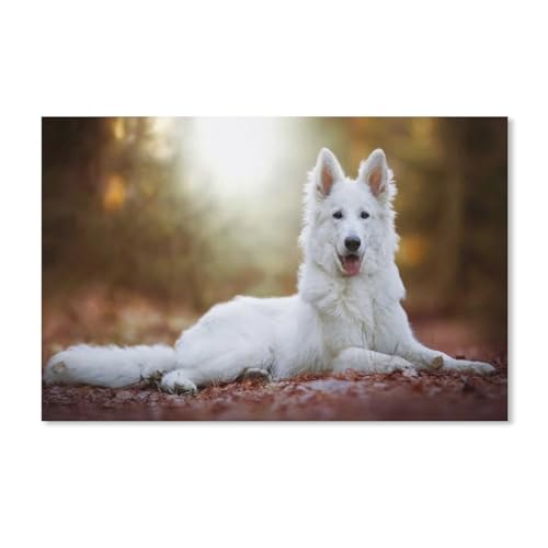 PGCKSK 5D DIY Diamond Painting，Süßer weißer Schäferhund，Stickerei Perle Kreuzstich Vollrundbohrer 5D Bild Mosaik Wandaufkleber（40x40cm）-D33 von PGCKSK