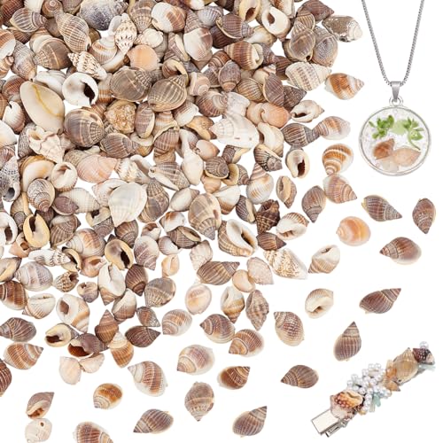 PH PandaHall 400 Stück Natürliche Ungebohrte Spiralmuscheln 12~22mm Große Muschelperlen Für Den Strand Ohne Loch Kleine Muscheln Zum Basteln Für Hochzeiten Zuhause Partys Dekorationen Für Aquarien von PH PandaHall