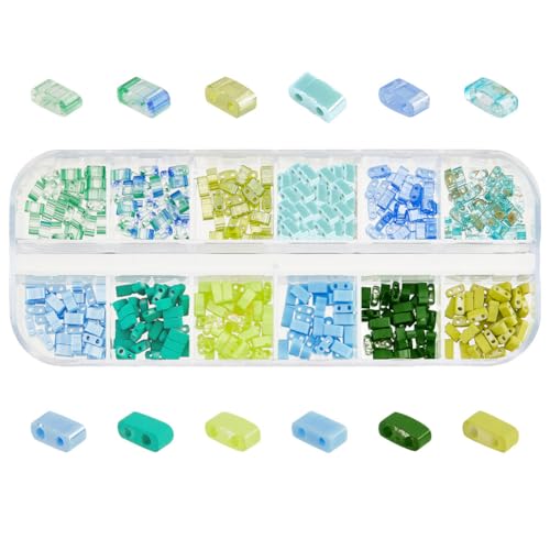 PH PandaHall 480 Stück 12 Farben Halbe Tila Perlen Grüne 2 Loch Rocaillesperlen 5x2mm Flache Quadratische Bastelperlen Japanische Lose Glasperlen Für Stapelbare Schmuck Freundschafts Armband von PH PandaHall