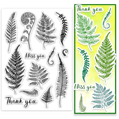 PH PandaHall Farn Blatt Clear Stamps Blatt Gummistempel Gras Pflanze Muster Silikonstempel Pflanzen Worte Transparente Siegel für Scrapbooking Kartenherstellung Fotoalbum Dekoration 16x11 cm von PH PandaHall