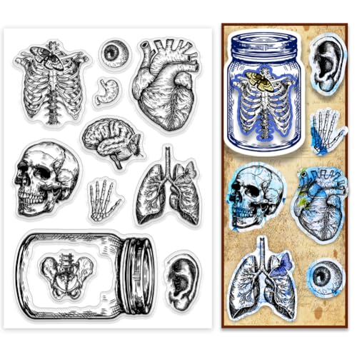 PH PandaHall Skelett Clear Stamps Jar Organ Gummistempel Herz Augapfel Transparente Briefmarken Klarer Scrapbooking-Stempel für Helloween Card Making Album Diary Crafts von PH PandaHall