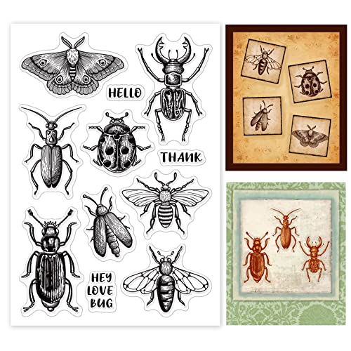 PH PandaHall Stempelsets Insekten Beatles Clear Seal Stamps Transparente Silikonsiegel Für DIY Scrapbooking Karten Machen Fotoalbum Dekoration Briefmarkenblätter Sammlung von Proben von PH PandaHall