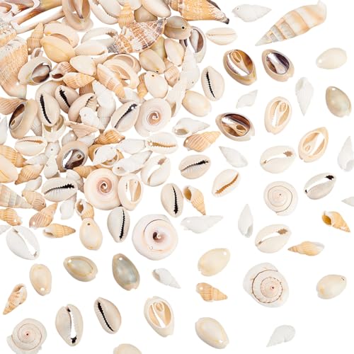 PandaHall 1 Set Sea Shell Ocean Beach Spiral Seashells Craft Charms für Kerzenherstellung, Heimdekoration, Strandthema-Party, Hochzeitsdeko, Aquarium und Vasenfüller von PH PandaHall