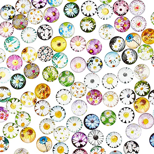 PandaHall 100pcs Cabochons Runde Mosaikfliesen Daisy Patern Halbrunde Mosaik Bedruckte Glaskuppel Cabochons Für Foto Anhänger Schmuckherstellung, 12 mm von PH PandaHall