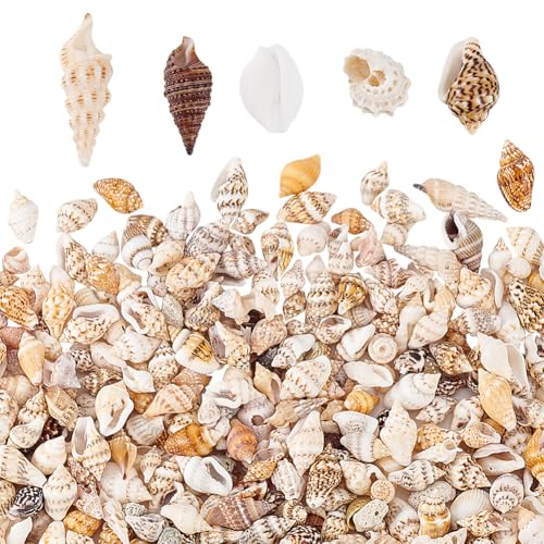 PandaHall 1300-1500Pcs Tiny Sea Shell Ocean Beach Spirale Muscheln Craft Charms Länge 7-12 mm für Kerzenherstellung, Dekoration, Strand-Thema-Party-Hochzeitsdekor Aquarium Vase Filler, KEIN Loch HOL von PH PandaHall