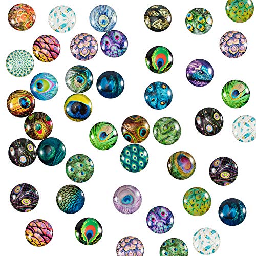 PandaHall 70Stk 70 Stile Pfauenfedern Glas Cabochons Halbrunde Fliesen Verzierungen 25mm Federglas Cabochons Kuppel Edelsteine Für Halloween Anhänger Schmuckherstellung Handwerk Scrapbooking von PandaHall