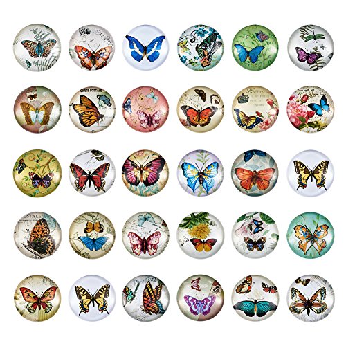 PandaHall Glas-Cabochons, halbrund, flache Rückseite, schmetterling, 25mm (1 Inch) von PH PandaHall