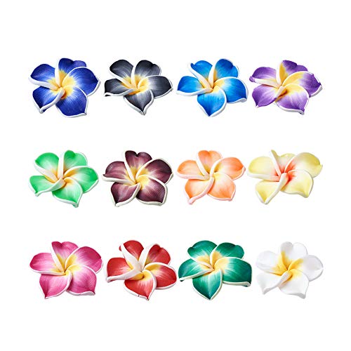 PandaHall Polymer-Perlen, Blumen-Design, gemischte Farben, Plumeria-Perlen mit Loch für die Schmuckherstellung, 12 mm von PH PandaHall