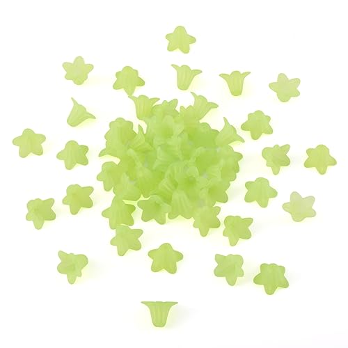 Pandahall 50 Stück grüne Blumen transparente mattierte Acrylperlen lose Perlenkappen 16 x 12 mm für DIY Schmuckherstellung von PH PandaHall