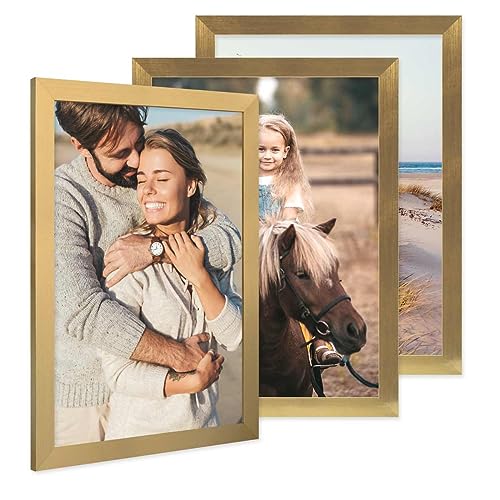 PHOTOLINI Bilderrahmen A3 Holz MDF Gold, 3er Set A3 Bilderrahmen 30x42 breit, Rahmen DINA3 mit Acrylglas, Picture Frame 42 x 30 zum Aufhängen, Frame DIN A 3 42x30 mit Zubehör für Deine Wandideen von PHOTOLINI